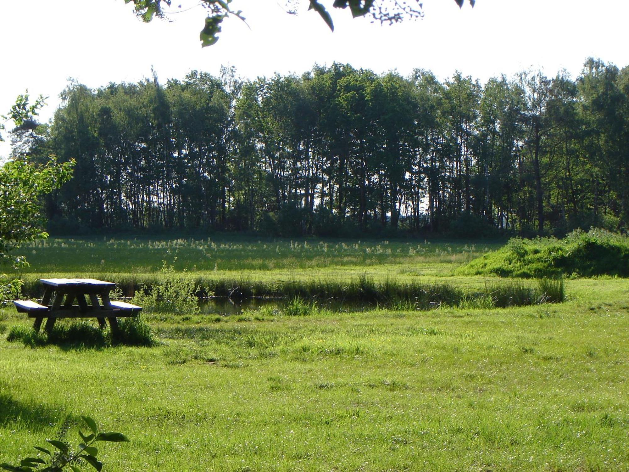 Bed En Breakfast De Boksloot Ravenswoud Esterno foto