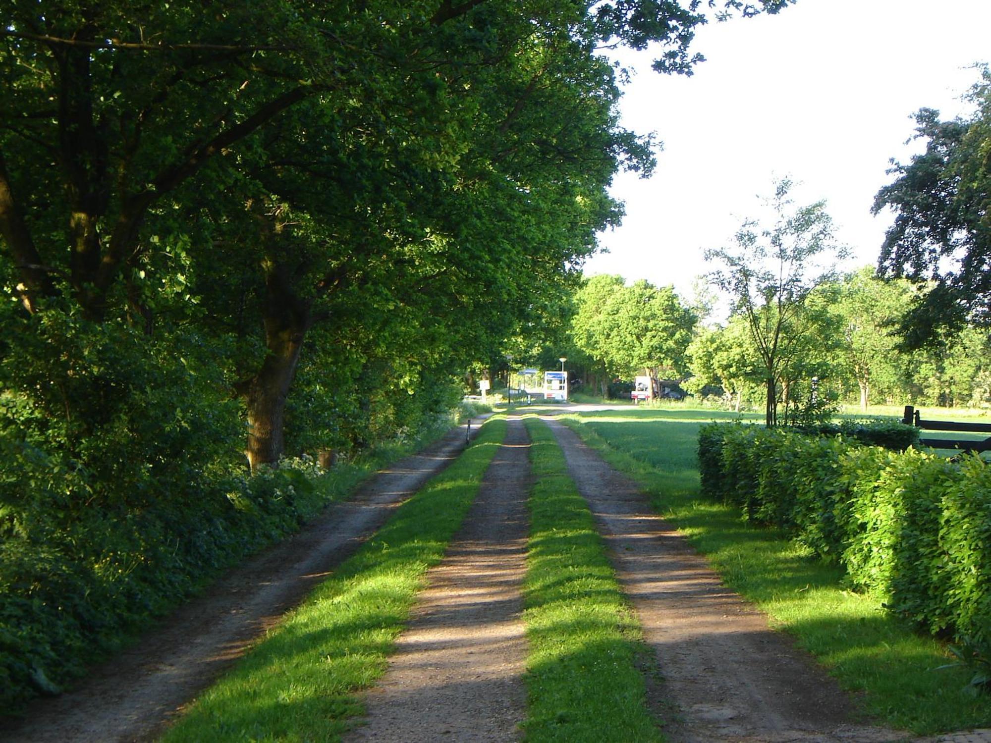 Bed En Breakfast De Boksloot Ravenswoud Esterno foto